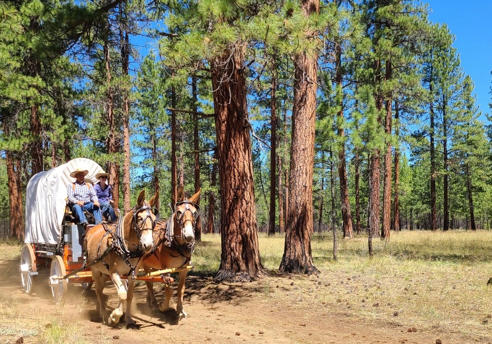 4-H Wagon Train-Oregon